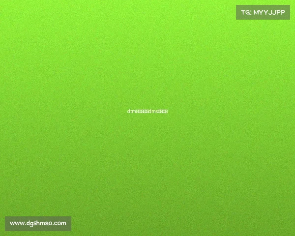 dtm新赛事方案dms赛事规则