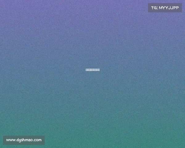 国际自行车比赛级别